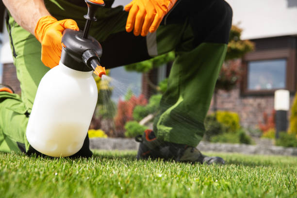 Professional Pest Control in Stevenson Ranch, CA